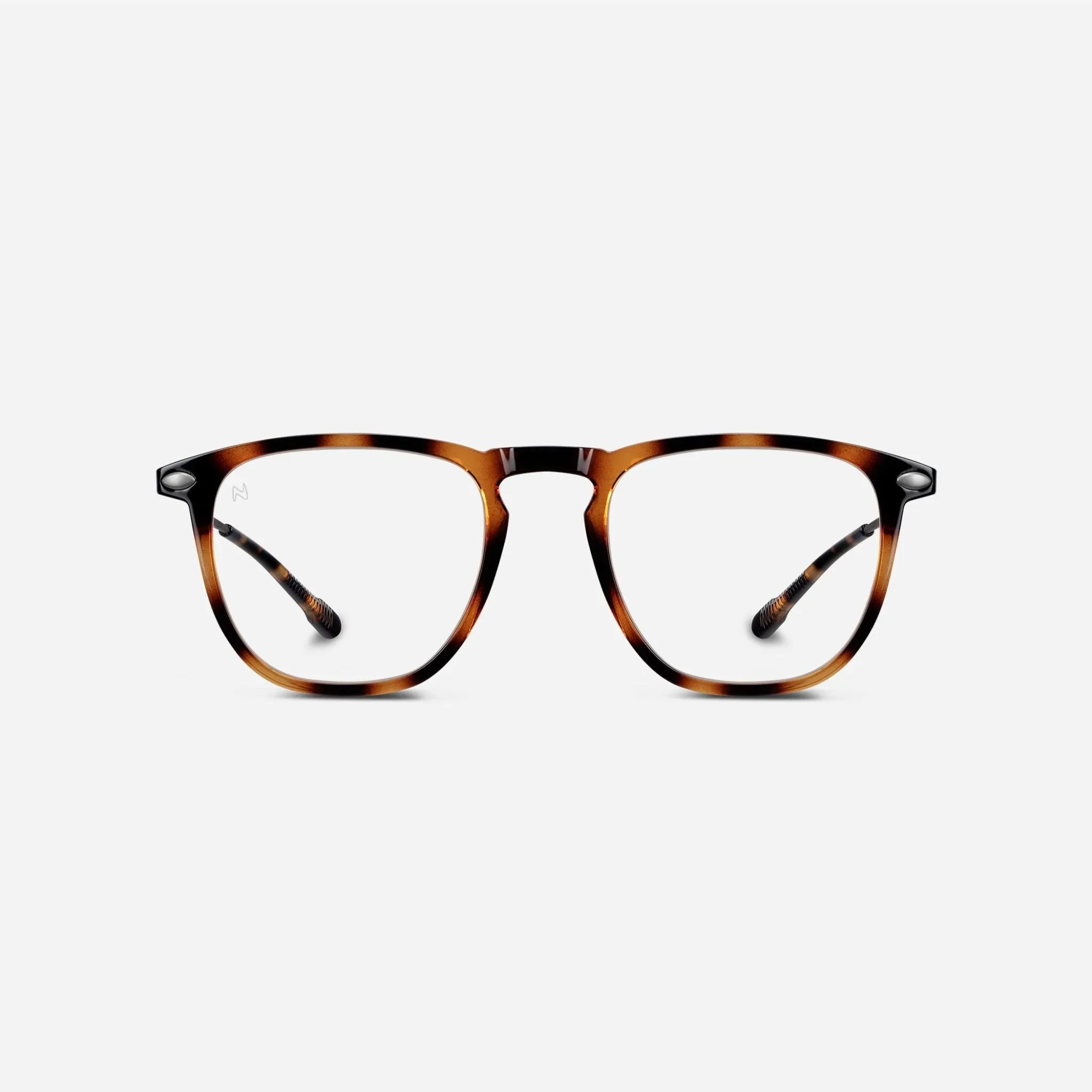 Blue Light Glasses  1 Dino Nooz Tortoise