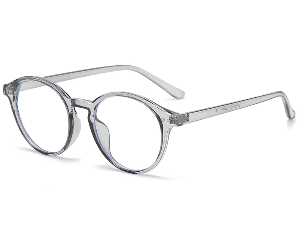 Blue Light Pantos Gray Glasses